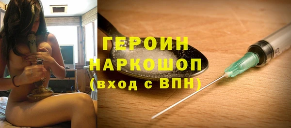 гашик Алексин