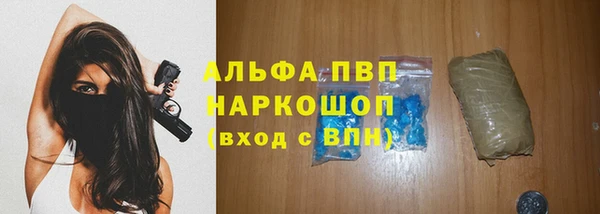 гашик Алексин