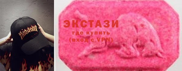 гашик Алексин