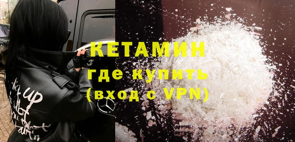 гашик Алексин