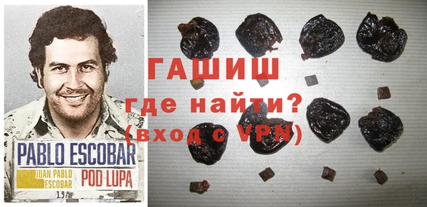 гашик Алексин