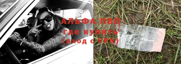 гашик Алексин