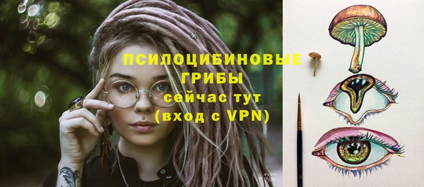 шишки Алзамай
