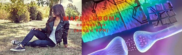 гашик Алексин