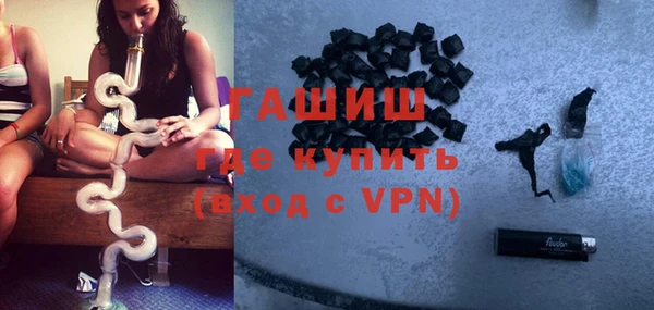 гашик Алексин
