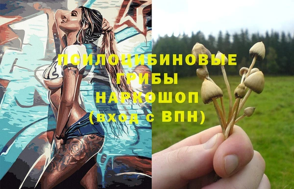 метамфетамин Алексеевка