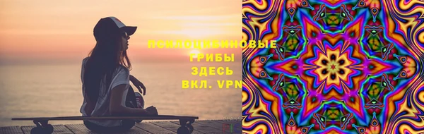шишки Алзамай