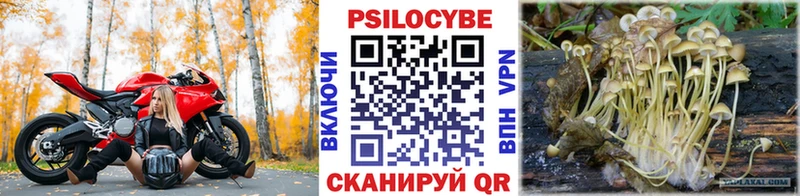 Галлюциногенные грибы мицелий  площадка какой сайт  Анива 